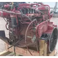 CUMMINS ISB6.7 Engine Assembly thumbnail 5