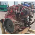 CUMMINS ISB6.7 Engine Assembly thumbnail 8