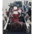 CUMMINS ISB6.7 Engine Assembly thumbnail 6