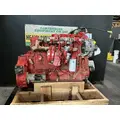 CUMMINS ISB6.7 Engine Assembly thumbnail 5