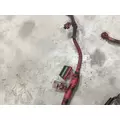 CUMMINS ISB6.7 Engine Wiring Harness thumbnail 7