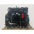 CUMMINS ISBCR5.9 Engine Assembly thumbnail 6
