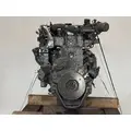 CUMMINS ISBCR5.9 Engine Assembly thumbnail 10