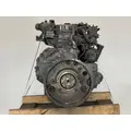CUMMINS ISBCR5.9 Engine Assembly thumbnail 6