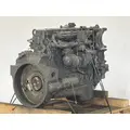 CUMMINS ISBCR5.9 Engine Assembly thumbnail 7