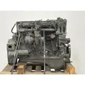 CUMMINS ISBCR5.9 Engine Assembly thumbnail 6