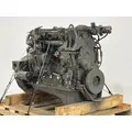 CUMMINS ISBCR5.9 Engine Assembly thumbnail 7