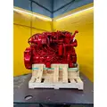 CUMMINS ISB Engine Assembly thumbnail 15