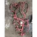 CUMMINS ISB Engine Wiring Harness thumbnail 7