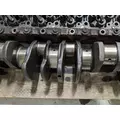 CUMMINS ISC8.3 Crankshaft thumbnail 4