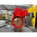 CUMMINS ISC8.3 Engine Assembly thumbnail 8