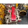 CUMMINS ISC8.3 Engine Assembly thumbnail 11