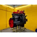 CUMMINS ISC8.3 Engine Assembly thumbnail 16