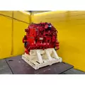 CUMMINS ISC8.3 Engine Assembly thumbnail 15