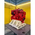 CUMMINS ISC8.3 Engine Assembly thumbnail 9