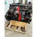 CUMMINS ISC8.3 Engine Assembly thumbnail 2