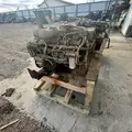 CUMMINS ISC8.3 Engine Assembly thumbnail 3