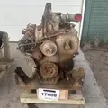 CUMMINS ISC8.3 Engine Assembly thumbnail 6