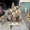 CUMMINS ISC8.3 Engine Assembly thumbnail 7