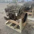 CUMMINS ISC8.3 Engine Assembly thumbnail 4