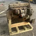 CUMMINS ISC8.3 Engine Assembly thumbnail 6