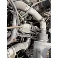 CUMMINS ISC8.3 Engine Assembly thumbnail 2