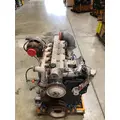 CUMMINS ISC Engine Assembly thumbnail 6