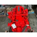 CUMMINS ISC Engine Assembly thumbnail 11