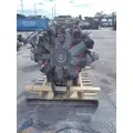 CUMMINS ISL 3664 ENGINE ASSEMBLY thumbnail 3