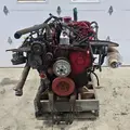 CUMMINS ISL G Engine Assembly thumbnail 8