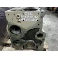 CUMMINS ISL9 CYLINDER BLOCK thumbnail 2