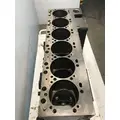 CUMMINS ISL9 Cylinder Block thumbnail 5