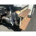 CUMMINS ISL9 DPF (Diesel Particulate Filter) thumbnail 1