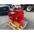 CUMMINS ISL9 Engine Assembly thumbnail 7