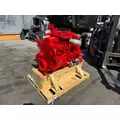 CUMMINS ISL9 Engine Assembly thumbnail 8