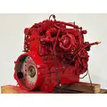 CUMMINS ISL9 Engine Assembly thumbnail 5