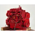 CUMMINS ISL9 Engine Assembly thumbnail 7
