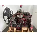 CUMMINS ISL9 Engine Assembly thumbnail 2