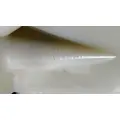 CUMMINS ISL9 Fan Blade thumbnail 4