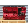 CUMMINS ISL Engine Assembly thumbnail 4
