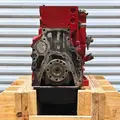 CUMMINS ISL Engine Assembly thumbnail 5