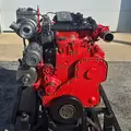 CUMMINS ISL Engine Assembly thumbnail 6