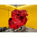 CUMMINS ISL Engine Assembly thumbnail 8