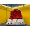 CUMMINS ISL Engine Assembly thumbnail 11