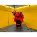 CUMMINS ISL Engine Assembly thumbnail 4