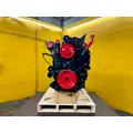 CUMMINS ISL Engine Assembly thumbnail 6