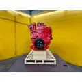 CUMMINS ISL Engine Assembly thumbnail 12