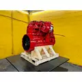CUMMINS ISL Engine Assembly thumbnail 10