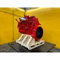 CUMMINS ISL Engine Assembly thumbnail 12