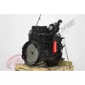 CUMMINS ISL Engine Assembly thumbnail 6